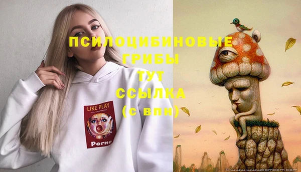 альфа пвп Лиски