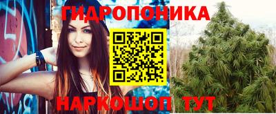 винт Дубна
