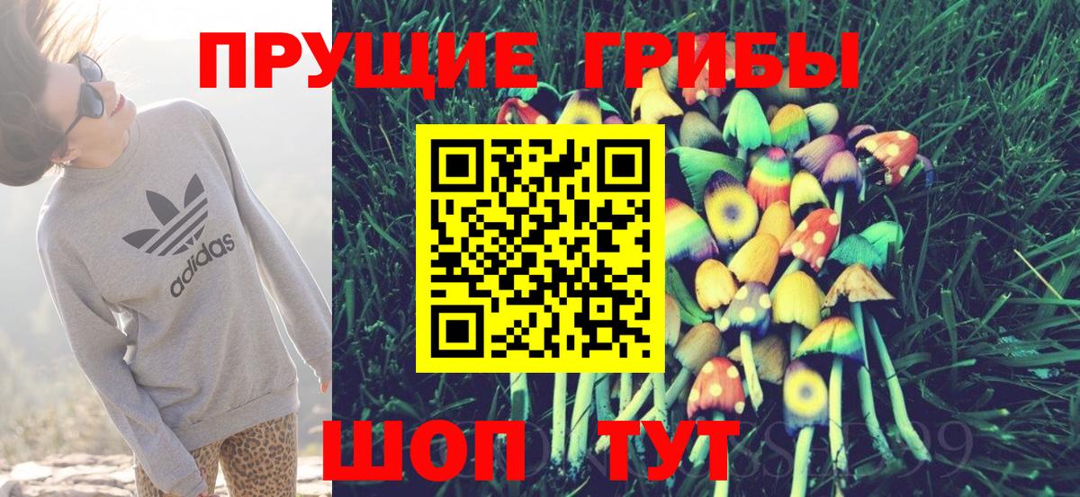 Муром  Псилоцибиновые грибы прущие грибы  Вход с VPN 